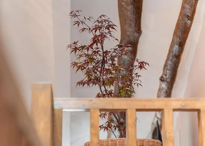 El Ahora Casa di campagna *